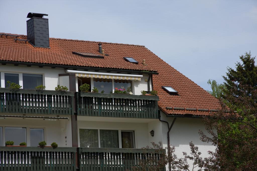 Maisonette Apartment Am Kurpark Braunlage Eksteriør billede